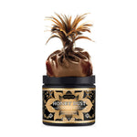 Load image into Gallery viewer, Kama Sutra Honey Dust VANILLA CRÈME 6oz
