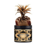 Charger l&#39;image dans la galerie, Kama Sutra Honey Dust VANILLA CRÈME 6oz
